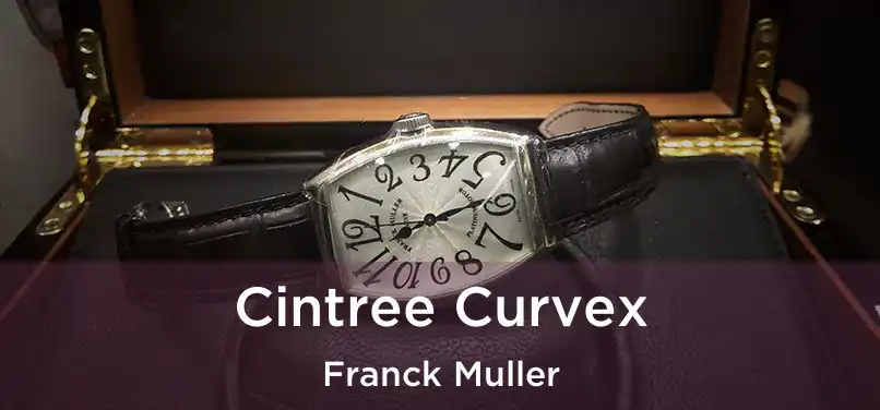 Cintree Curvex Franck Muller