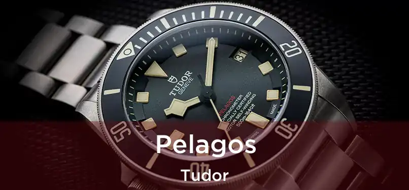  Pelagos Tudor